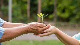 El cuidado del medio ambiente es fundamental para la vida en sociedad Foto: Freepik
