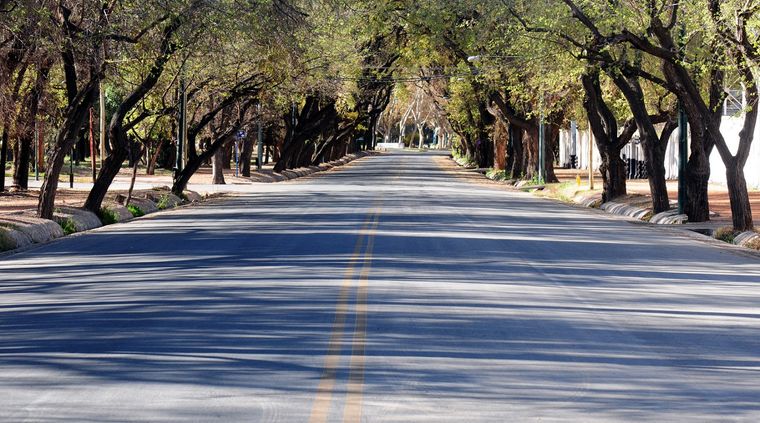 El oasis desierto Las calles mendocinas están casi vacías. Imagen tomada hace instantes en el Parque San Martín. Foto: ALF PONCE MERCADO / MDZ