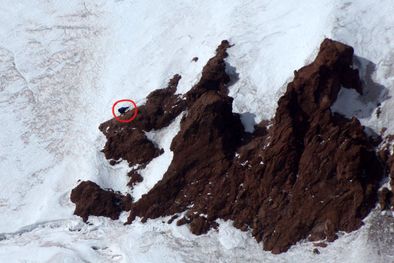 MDZol | Foto: Gentileza Mario Cardama