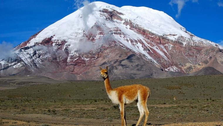 El volcán Chimborazo en Ecuador Foto: D. TORRES