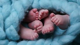 La inteligencia artificial detectó cuáles son los nombres que marcarán tendencia en 2026. La inteligencia artificial detectó cuáles son los nombres que marcarán tendencia en 2026.