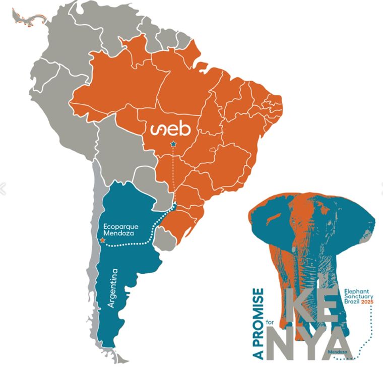El viaje de Kenya desde Mendoza hasta el santuario en Brasil. El viaje de Kenya desde Mendoza hasta el santuario en Brasil.