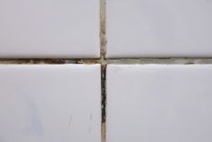 Si ya tienes moho en el hogar, es importante eliminarlo rápidamente. Foto: Shutterstock