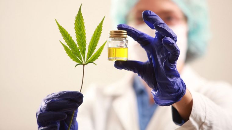 Santa Fe habilitó consultorios de cannabis medicinal.