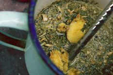 que beneficios para la salud trae preparar un buen mate con jengibre