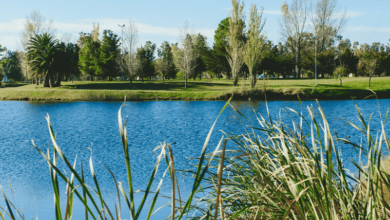General Villegas ofrece una combinación de paisaje pampeano, historia local y vida cultural en pleno noroeste bonaerense.