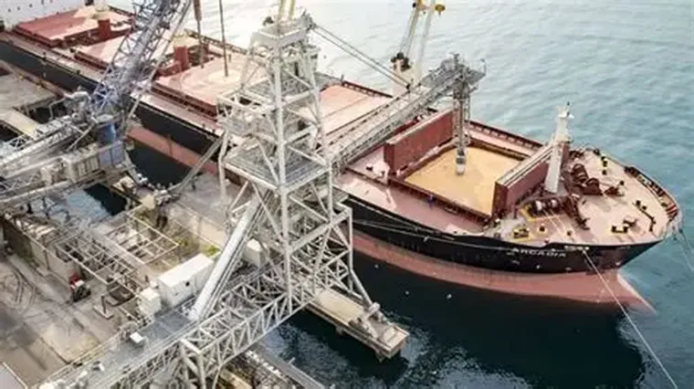 Pensar la oportunidad argentina exige primero un diagnóstico interno. Pensar la oportunidad argentina exige primero un diagnóstico interno.