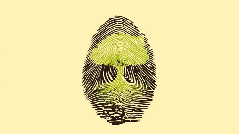 Test de personalidad