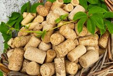 En resumen, los corchos pueden parecer insignificantes, pero tienen mucho para aportar. Reutilizarlos en tus macetas es simple, útil y gratuito.&nbsp;