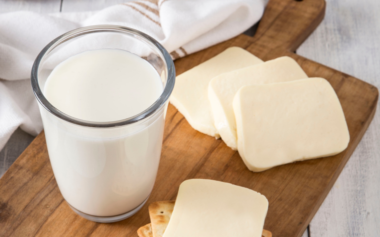 Hoy se celebra el día mundial de la leche. Foto: Gentileza