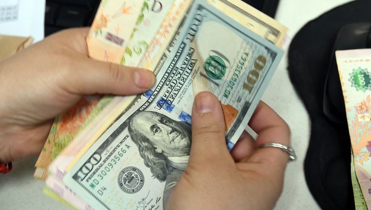 El dólar subió con fuerza en el cierre de la semana Foto: ALF PONCE MERCADO / MDZ