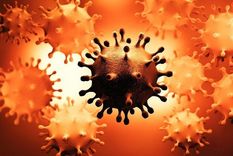 Los virus están en un proceso de mutación constante. Foto: GETTY IMAGES