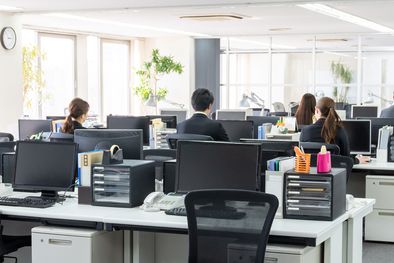 MDZol | Trabajo Oficina - Portada