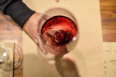 Dia del Malbec: 20 vinos recomendados para brindar