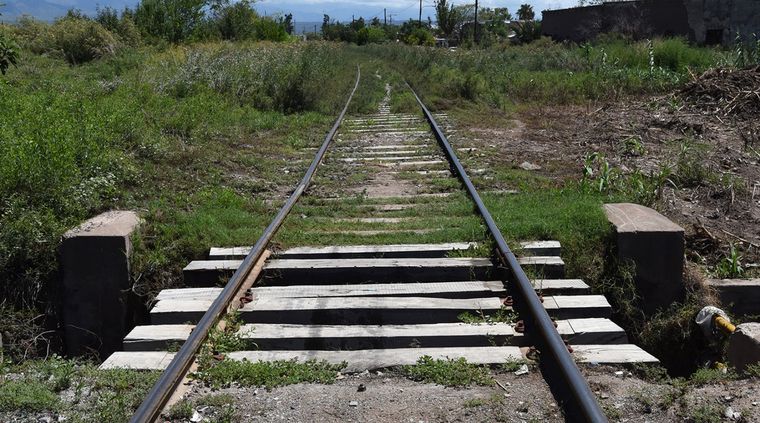 Foto: ALF PONCE MERCADO / MDZ