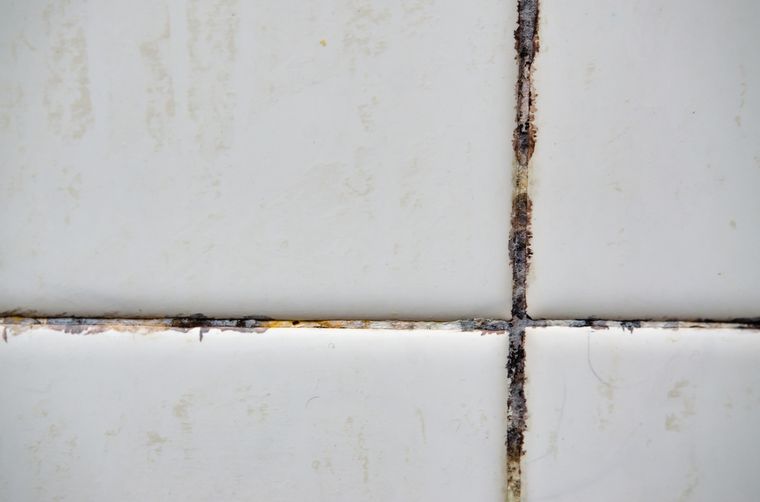 La humedad es el principal aliado del moho en casa. Foto: Shutterstock