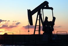 La extracción de petróleo registró un crecimiento mensual de un 12,1% en noviembre de 2024. Foto: Shutterstock