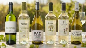 Diez ejemplares para celebrar el Sauvignon Blanc.