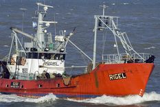 La industria pesquera es un sector con un importante volumen de exportación Foto: NA