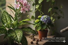 Hay que tener cuidado con algunas plantas. Fuente: IA Gemini.