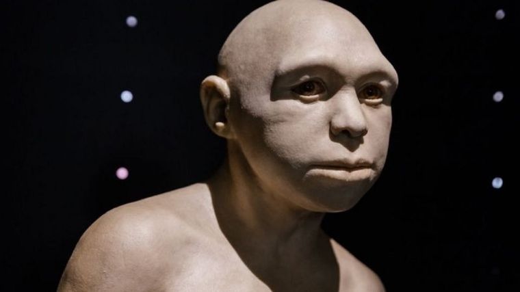 Una escultura que representa al Homo antecessor. Foto: GETTY IMAGES