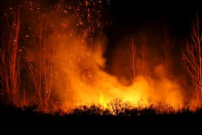 MDZol | Al borde del canal Marginal, que ha hecho de contención, las llamas quemaban matorrales secos. Foto: Mediamza.com