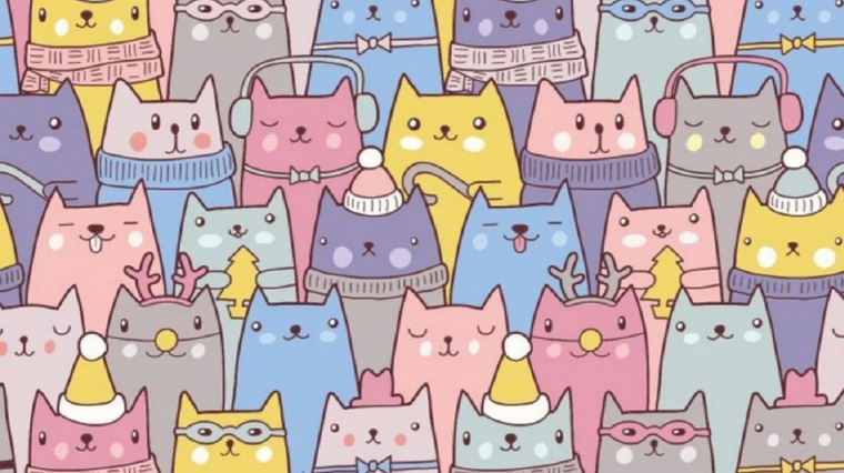 ACERTIJO VISUAL ACERTIJO VISUAL, RETO VISUAL, CONEJO Foto: ARCHIVO