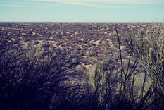 Reserva Telteca Reserva Telteca