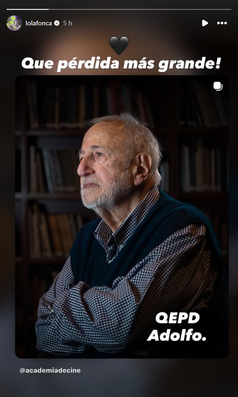 Dolores Fonzi se expresó en sus redes. Dolores Fonzi se expresó en sus redes.