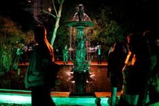 debuta el ciclo nocturno del jardin botanico en palermo debuta el ciclo nocturno del jardin botanico en palermo
