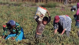 En 2024 había cerca de 138 millones de niñas, niños y adolescentes en situación de trabajo infantil. En 2024 había cerca de 138 millones de niñas, niños y adolescentes en situación de trabajo infantil.