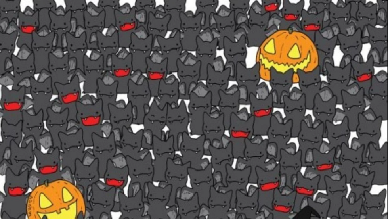 ACERTIJO VISUAL ACERTIJO VISUAL, RETO VISUAL, GATO Foto: ARCHIVO