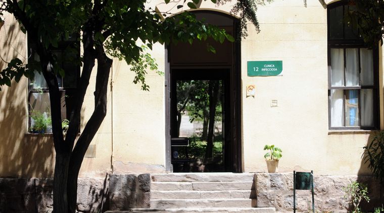 Un hombre fue mordido por una yarará y quedó internado en el Hospital Lencinas.&nbsp;