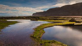 El pueblo de La Lobería se asienta sobre una costa patagónica de mar abierto y acantilados bajos. &nbsp;