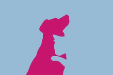 Test de personalidad Test de personalidad