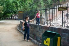 zoologico: ¿llego el dia d?