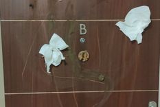 El ataque a sus vecinos es constante y propietarios e inquilinos decidieron denunciarla Foto: Twitter El ataque a sus vecinos es constante y propietarios e inquilinos decidieron denunciarla Foto: Twitter