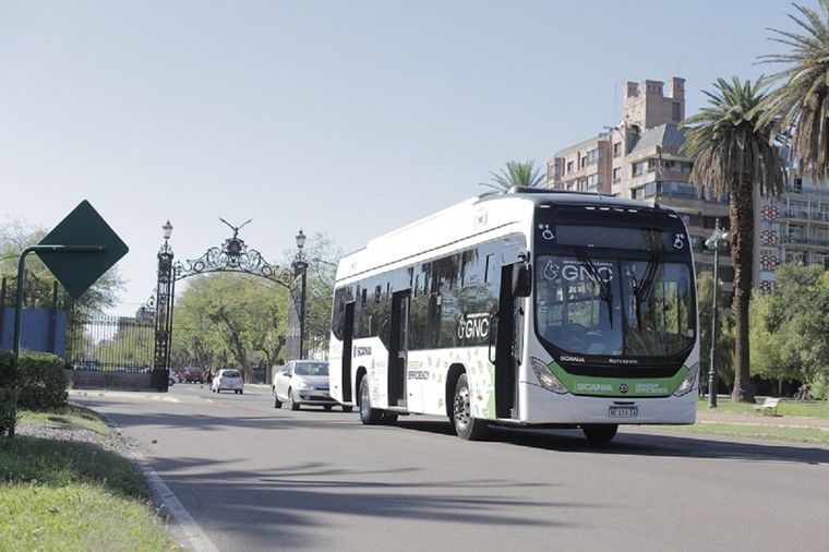 Transporte a gas. Foto: Newlink
