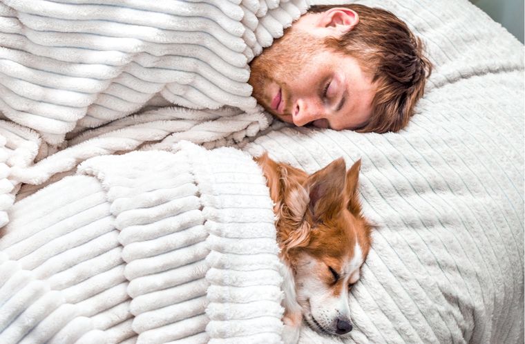 Mascotas Beneficios de descansar juntos Foto: Shutterstock
