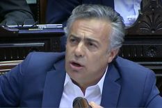 cornejo hizo un llamado a la unidad y ofrecio ayuda al gobierno