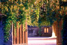 Las luces dorada aportan calidez y riqueza, especialmente cuando se combinan estratégicamente. Foto: Future