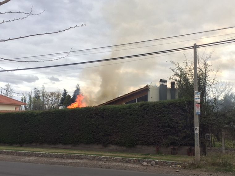 Foto: Gentileza lector MDZ