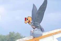 El meme más original: El Cóndor con la cabeza de Condorito. Foto: Redes