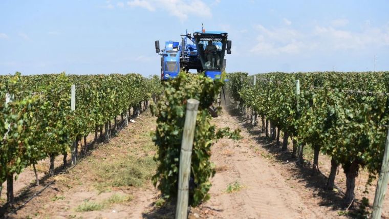 En diciembre de 2024 se importaron alimentos por la suma de US$242 millones Foto: MDZ