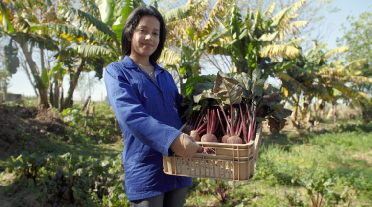 El programa busca apoyar proyectos innovadores y sustentables en los ámbitos de salud y alimentación.