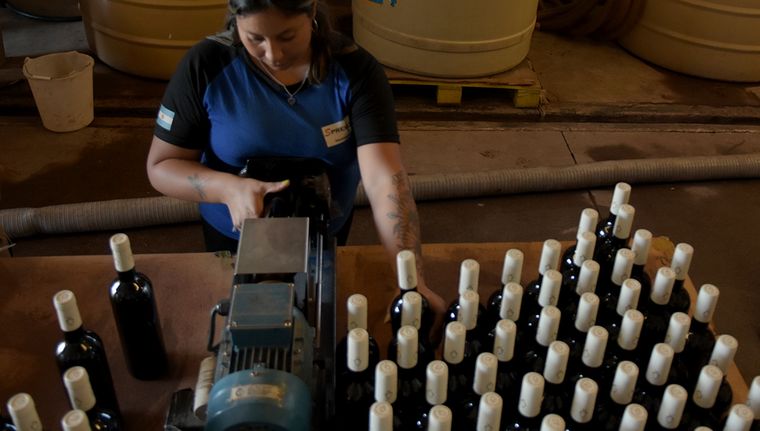 La exportación de vino argentino tuvo una caída de más del 10% en el primer mes del 2025. Foto: Walter Moreno/Mdz