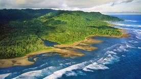 Corcovado, Costa Rica, es el lugar de mayor biodiversidad del mundo. Foto: Lugarnia