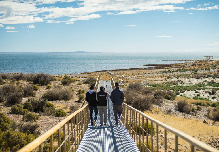 Patagonia atlántica: el lado oculto de Argentina entre fauna y mar