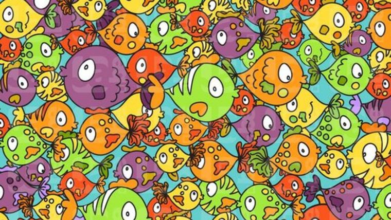 Acertijo visual, reto visual, gallina