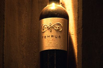 MDZol | TEMPUSALBA portada